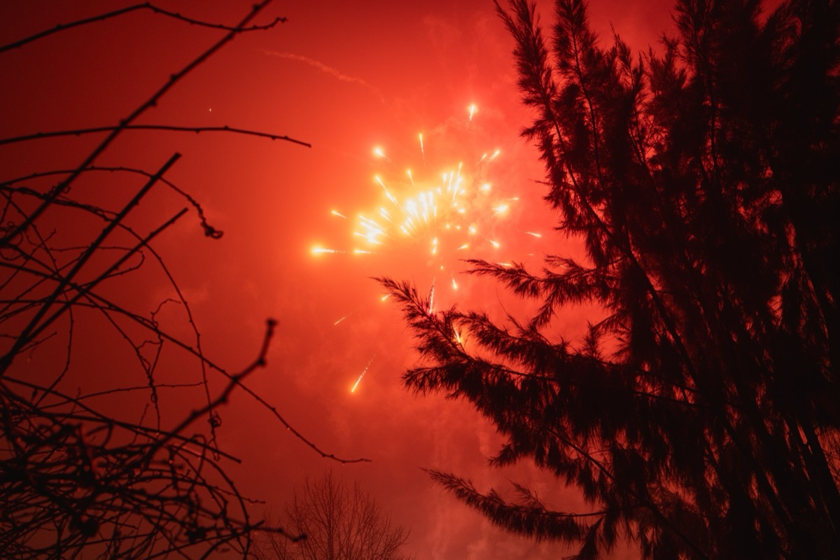 Pormenor de decoração floral em evento
