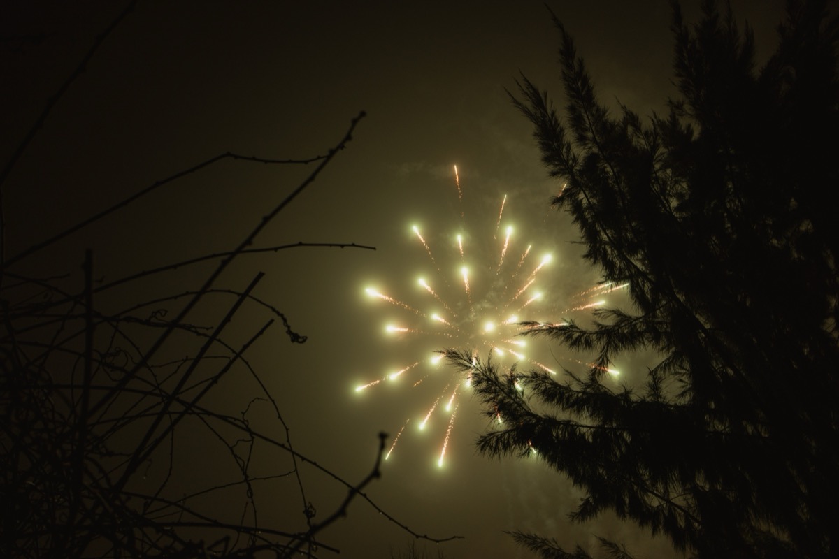 Iluminação ambiente para festa na Quinta do Luson
