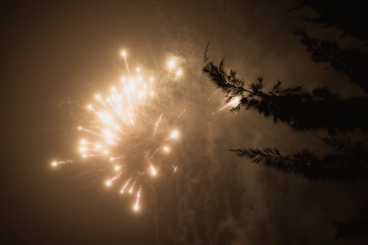 Momento de celebração na Quinta do Luson